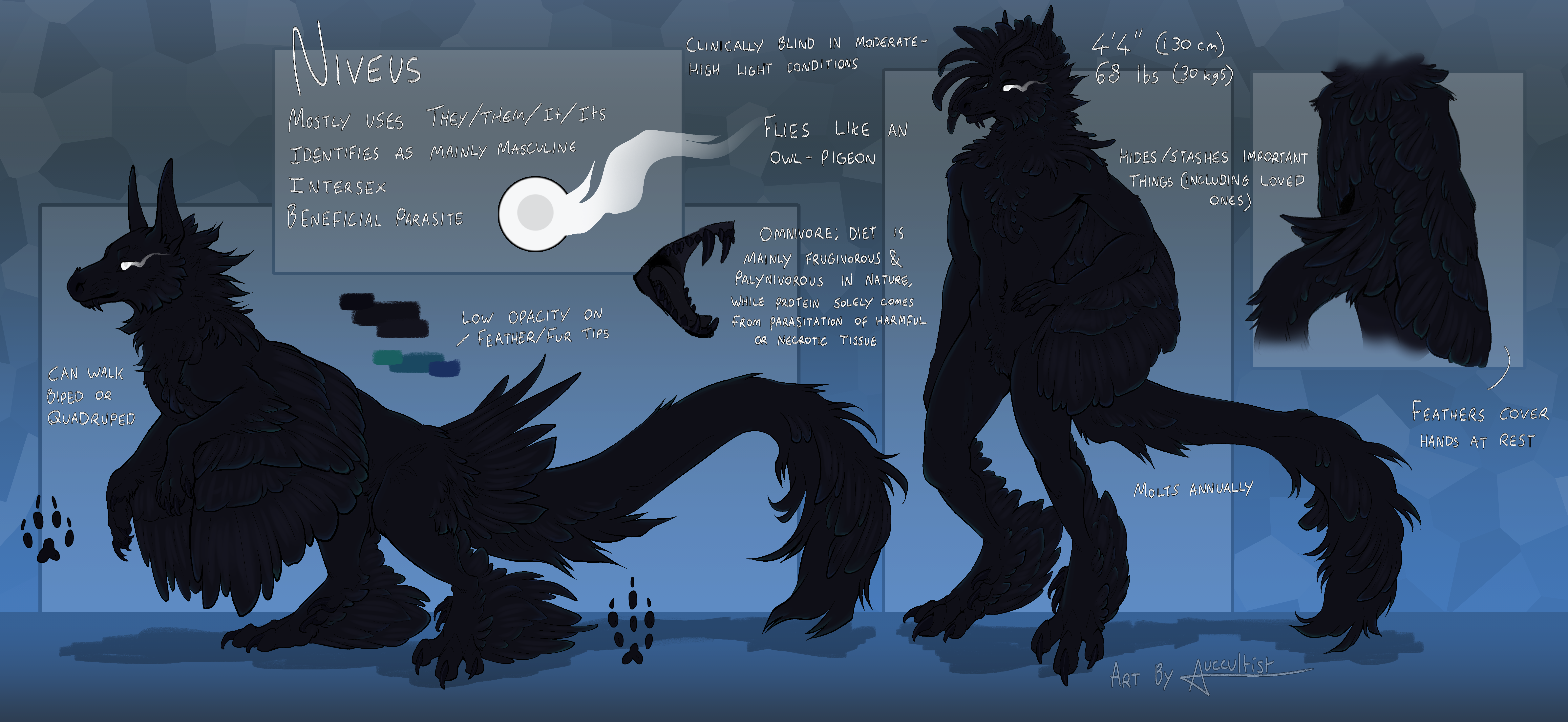 added fullbody