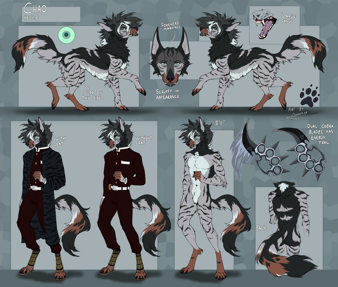 added fullbody, outfits, props, bavk doodle, etc