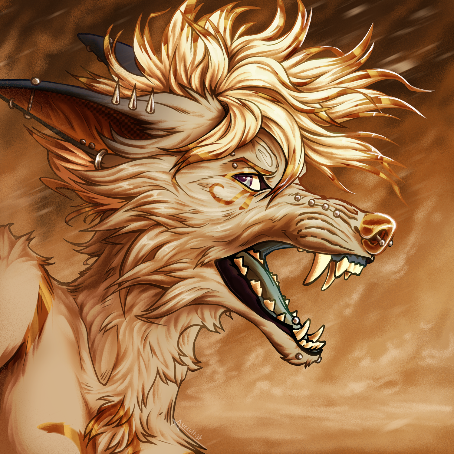 shaded headshot